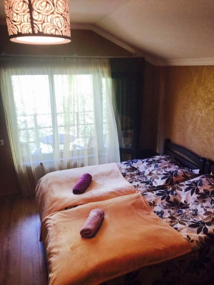 Bed and Breakfast Metitsa à Juta Extérieur photo